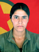 Viyan - Pervane Delayi