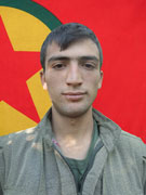 Hogir - Murat Direkli