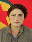 Tolhildan - Aslihan Bilen